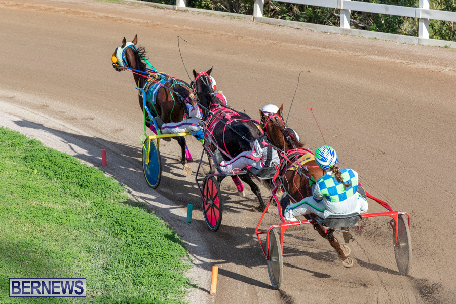 DHPC-Harness-Pony-Racing-Bermuda-December-26-2019-6199