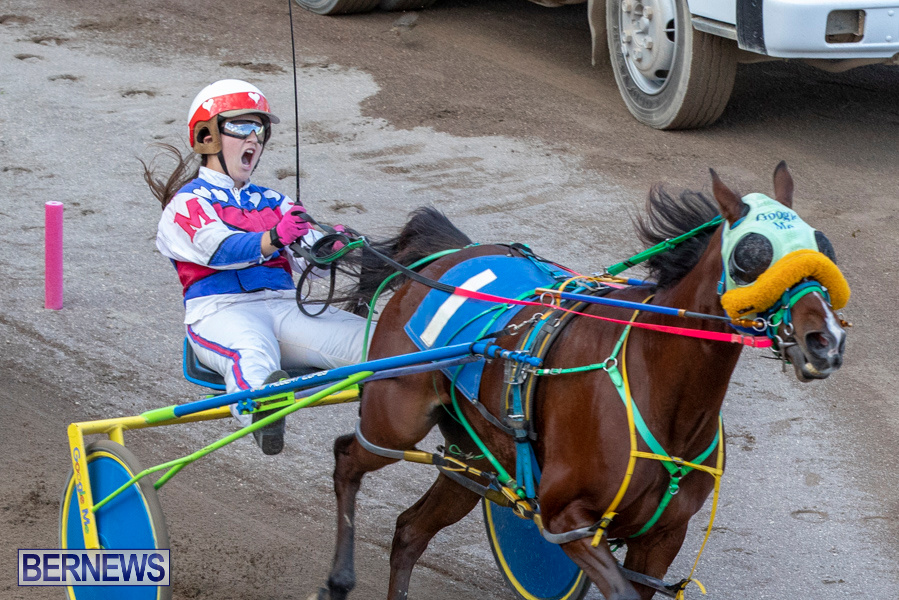 DHPC-Harness-Pony-Racing-Bermuda-December-26-2019-6214