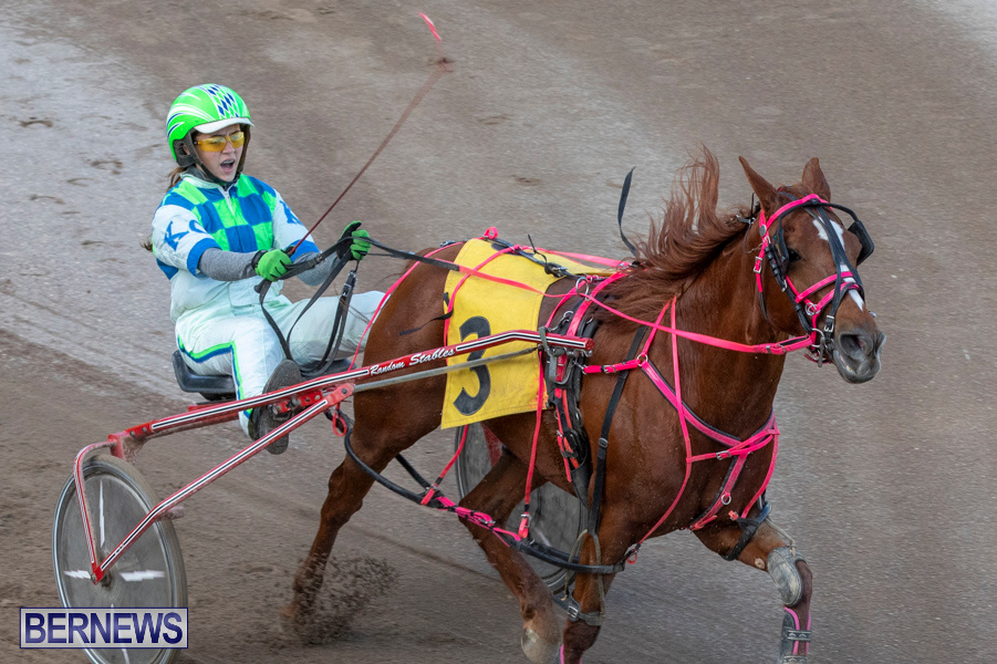 DHPC-Harness-Pony-Racing-Bermuda-December-26-2019-6217