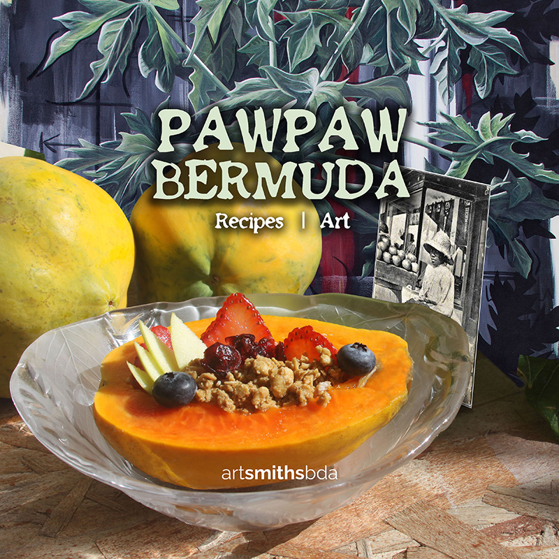 PawPaw Bermuda Dec 2019 (2)