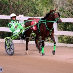 Bermuda Harness Pony Racing Jan 19 2020 (1)