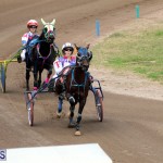 Bermuda Harness Pony Racing Jan 19 2020 (10)