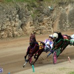 Bermuda Harness Pony Racing Jan 19 2020 (12)