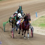 Bermuda Harness Pony Racing Jan 19 2020 (15)