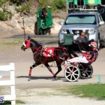 Bermuda Harness Pony Racing Jan 19 2020 (17)