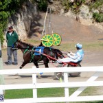 Bermuda Harness Pony Racing Jan 19 2020 (18)