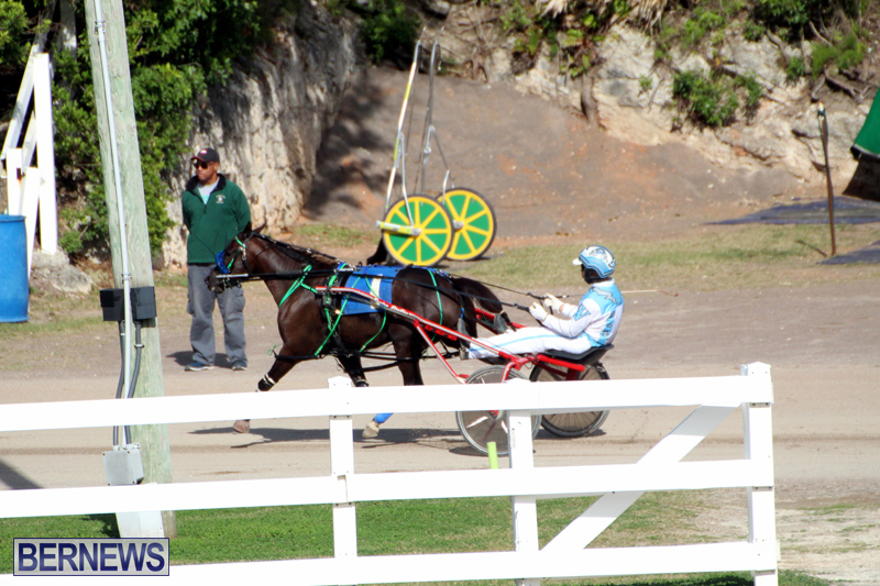 Bermuda-Harness-Pony-Racing-Jan-19-2020-18
