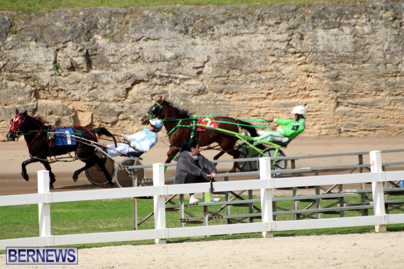 Bermuda-Harness-Pony-Racing-Jan-19-2020-2