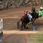 Bermuda Harness Pony Racing Jan 19 2020 (3)