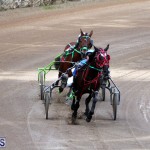 Bermuda Harness Pony Racing Jan 19 2020 (6)