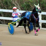 Bermuda Harness Pony Racing Jan 19 2020 (7)