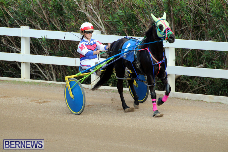 Bermuda-Harness-Pony-Racing-Jan-19-2020-7