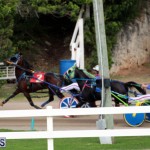 Bermuda Harness Pony Racing Jan 19 2020 (9)