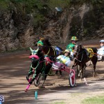 Bermuda Harness Pony Racing Feb 9 2020 (10)