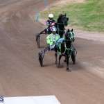 Bermuda Harness Pony Racing Feb 9 2020 (2)
