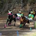 Bermuda Harness Pony Racing Feb 9 2020 (5)