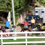 Bermuda Harness Pony Racing Feb 9 2020 (8)
