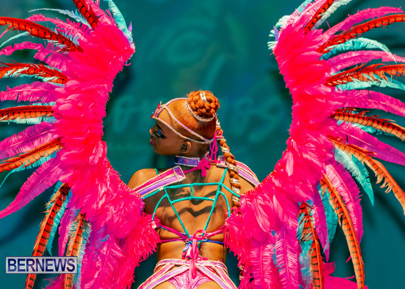 Nova-Mas-Carnival-Costume-Launch-Feb-2020-25
