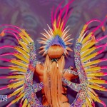 Nova Mas Carnival Costume Launch Feb 2020 (54)