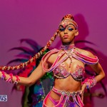 Nova Mas Carnival Costume Launch Feb 2020 (68)