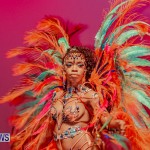 Nova Mas Carnival Costume Launch Feb 2020 (75)
