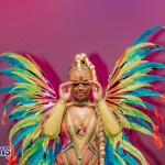 Nova Mas Carnival Costume Launch Feb 2020 (78)