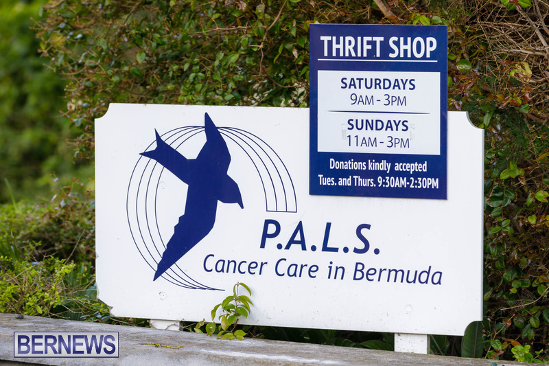 PALS walk charity Bermuda Feb 2020 (3)