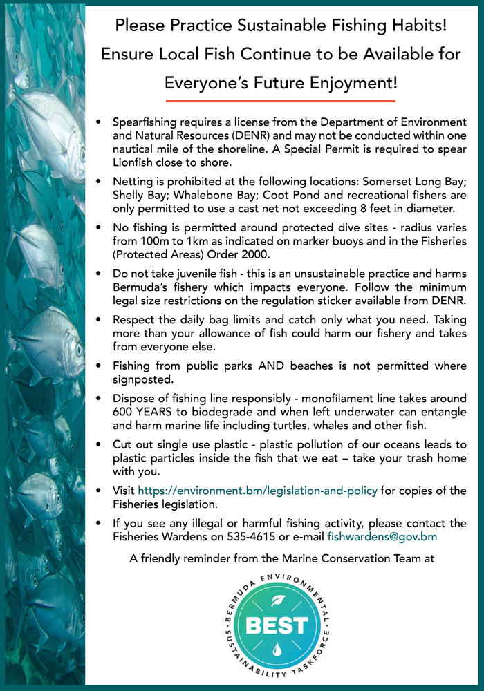 Sustainable Fishing Bermuda May 2020 (1)