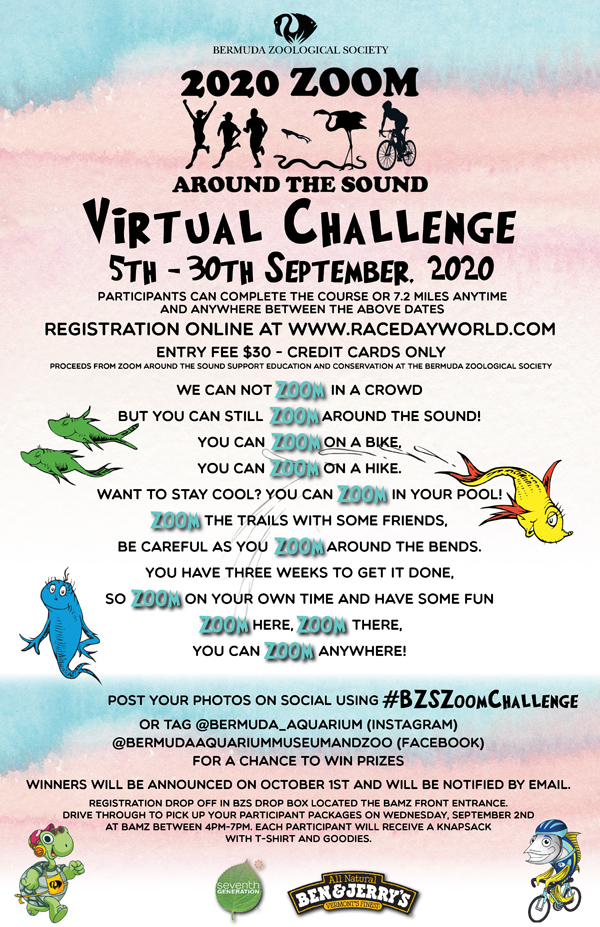 Virtual Zoom Around the Sound Bermuda August 2020 (1)