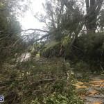 Post Hurricane Paulette Bermuda 14 2020 (12)