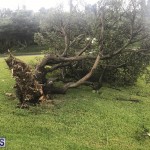 Post Hurricane Paulette Bermuda 14 2020 (16)