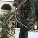 Post Hurricane Paulette Bermuda 14 2020 (22)