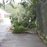 Post Hurricane Paulette Bermuda 14 2020 (34)