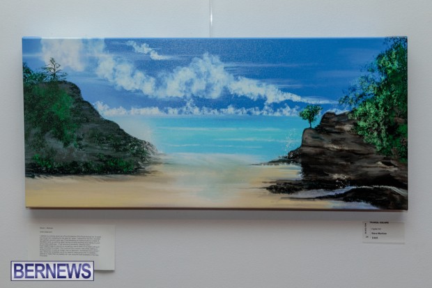 Bermuda art gallery show BSOA November 13 2020 (11)