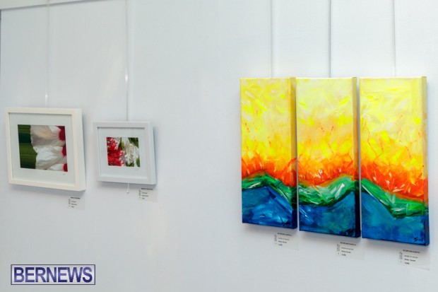 Bermuda art gallery show BSOA November 13 2020 (26)