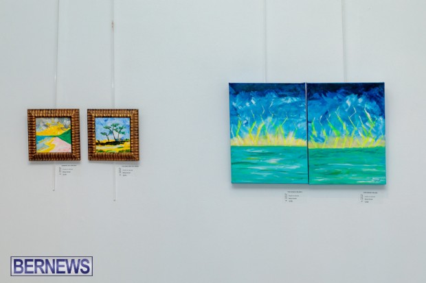 Bermuda art gallery show BSOA November 13 2020 (29)