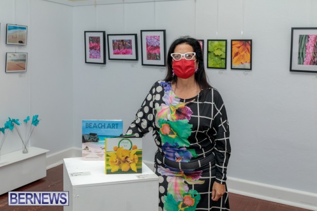 Bermuda art gallery show BSOA November 13 2020 (33)