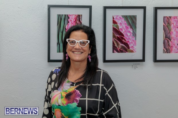 Bermuda art gallery show BSOA November 13 2020 (36)