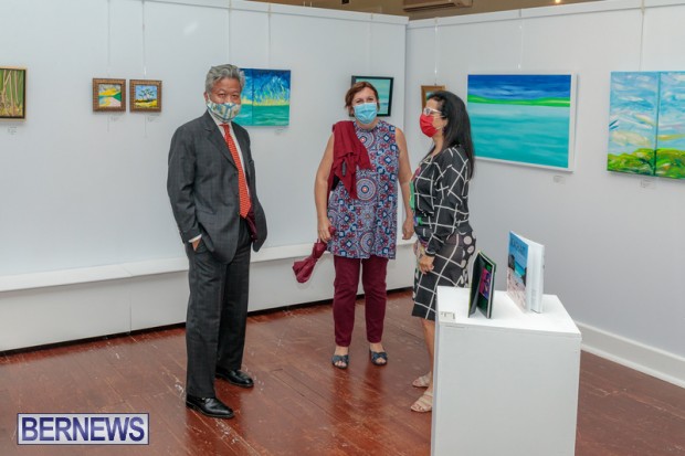 Bermuda art gallery show BSOA November 13 2020 (42)