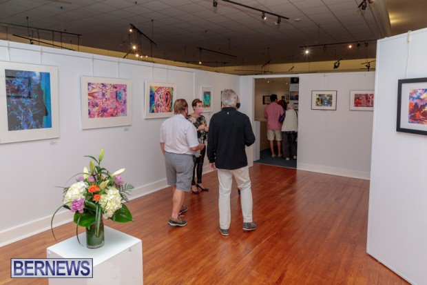 Bermuda art gallery show BSOA November 13 2020 (43)