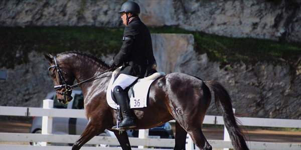 Bermuda Place 1st & 2nd In CEA Regional - Vimarsana News
