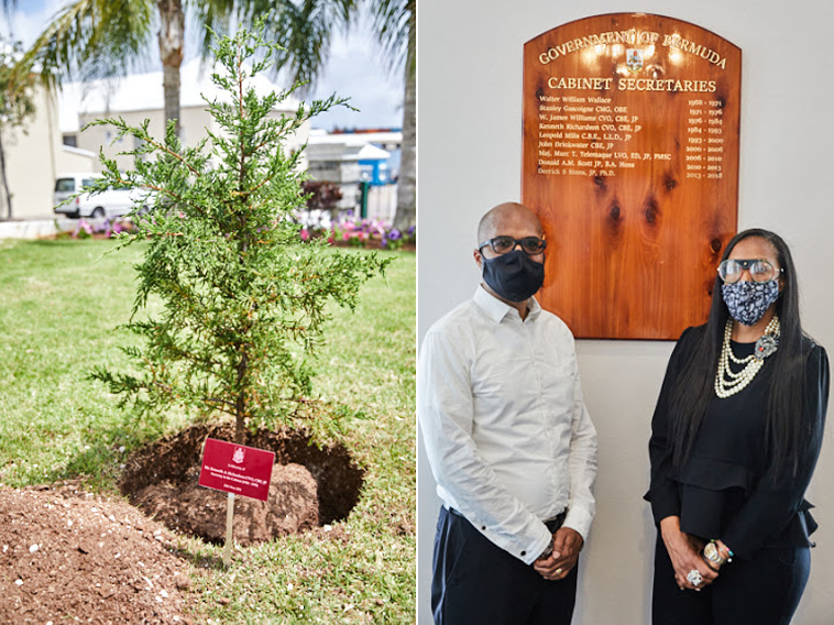 Tree Planted in Honour of  Kenneth Richardson Bermuda May 2021 (3)