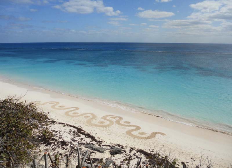 Land Art By Nicky Gurret Bermuda July 2021 2