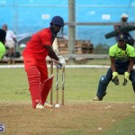Premier & First Division Cricket July 5 2021 12