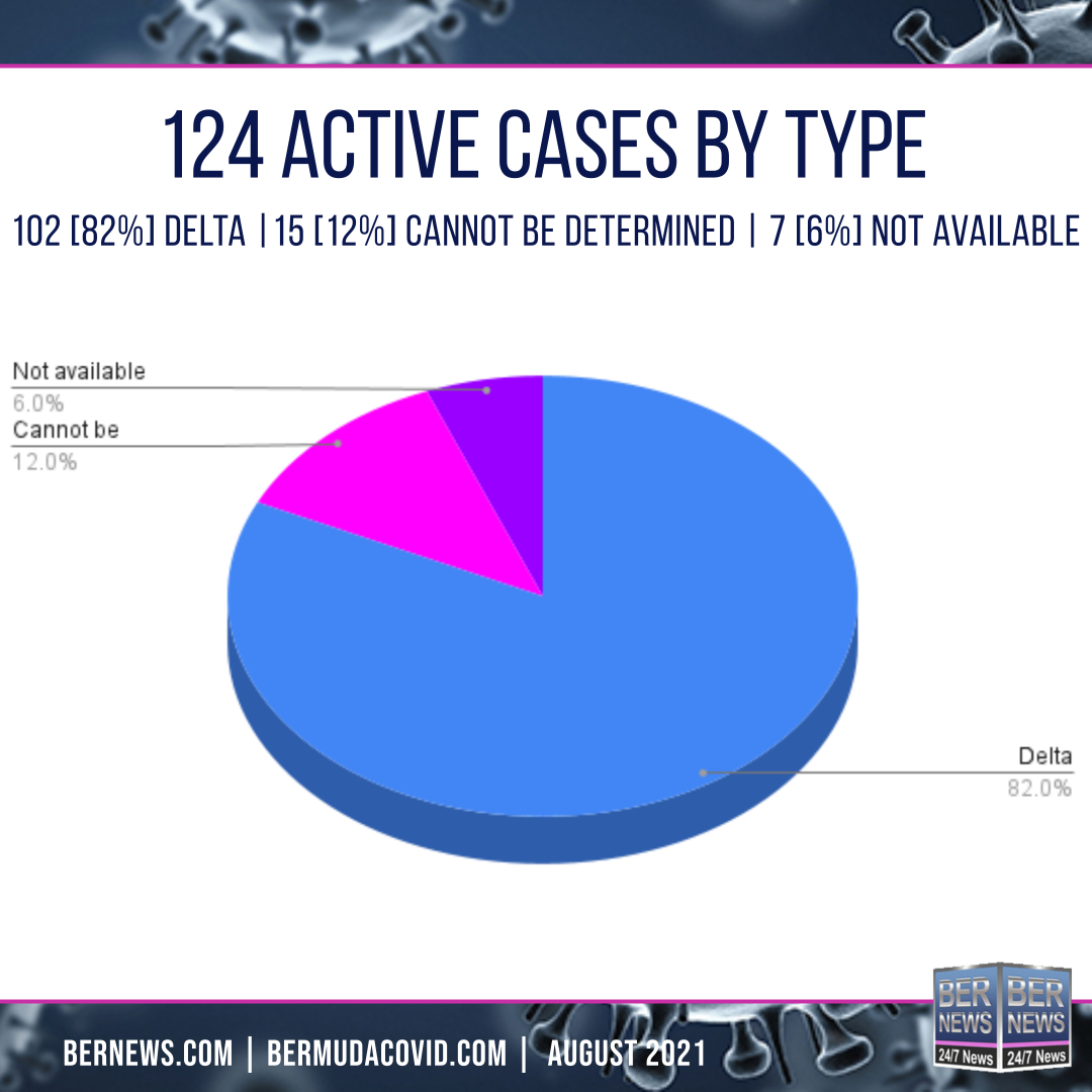 cases by type stats
