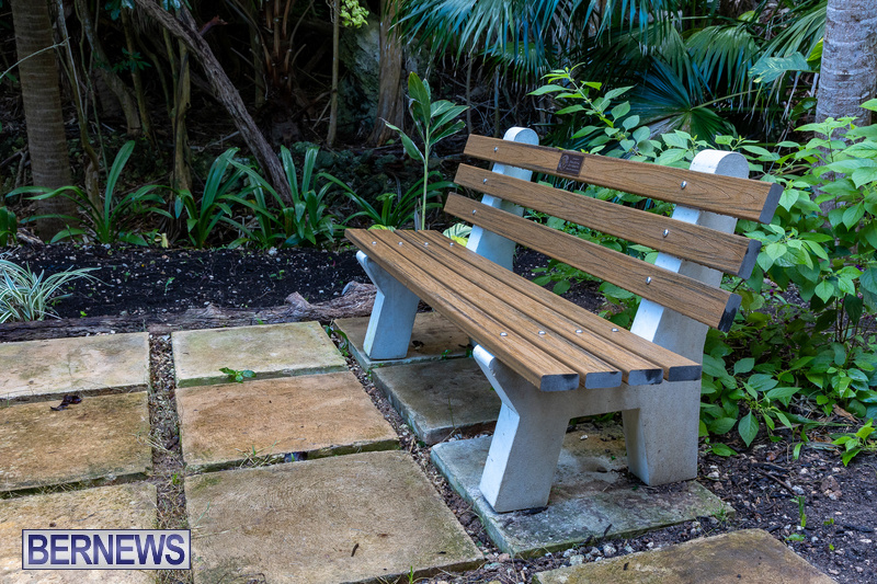 memorial bench in Sherwin Nature Reserve Bermuda 2021 DF (10)