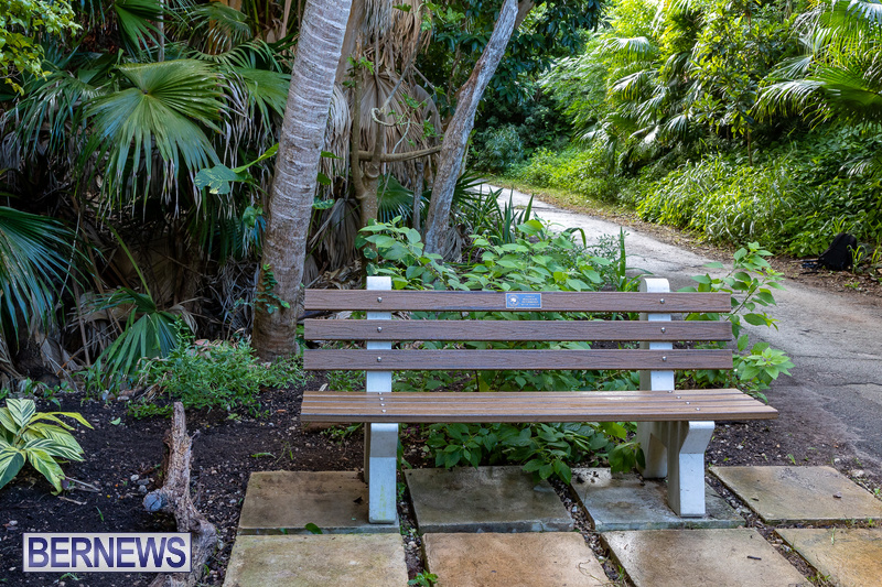 memorial bench in Sherwin Nature Reserve Bermuda 2021 DF (11)