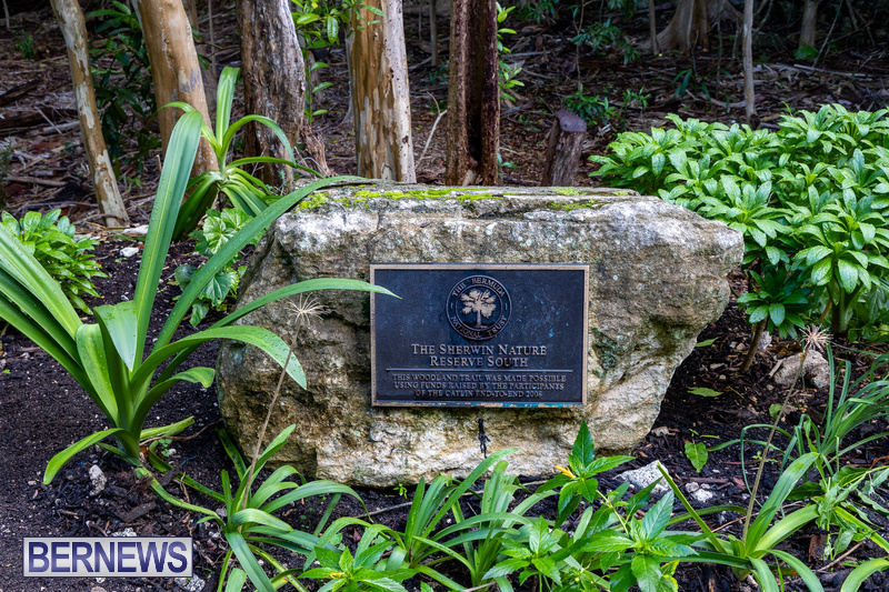 memorial bench in Sherwin Nature Reserve Bermuda 2021 DF (13)