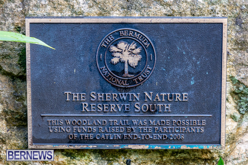 memorial bench in Sherwin Nature Reserve Bermuda 2021 DF (14)