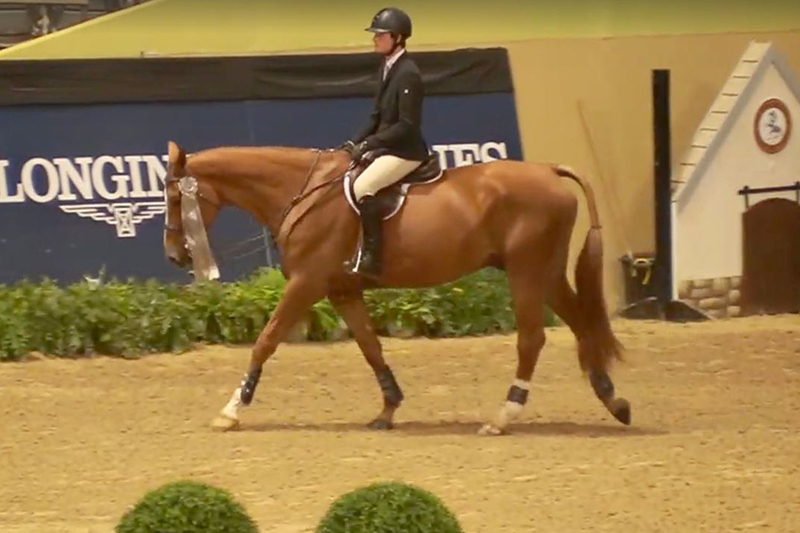 Cody Rego Finishes 9th In ASPCA Maclay Finals Bernews